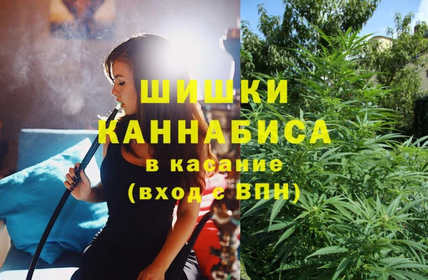 соль ск Алексин