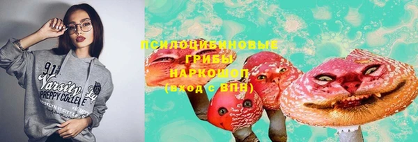 дмт Алзамай