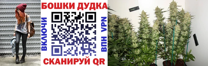 МАРИХУАНА ГИДРОПОН  наркота  Туран 